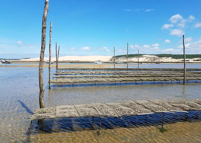 A Arcachon: Plages Et Commerces A Pied, Balcon, Parking, 4 Couchages - Fr-1-474-193 * Arcachon