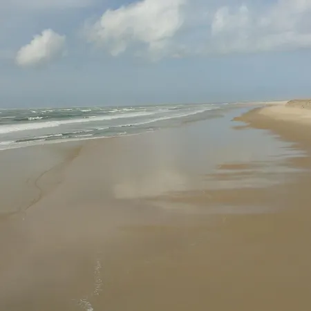 à Arcachon: Plages Et Commerces à Pied, Balcon, Parking, 4 Couchages - Fr-1-474-193